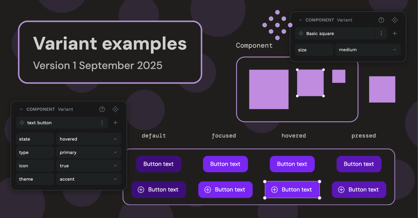 Variant examples: Version 1. September 2025.
